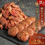 味付け牛ハラミ900g+ハンバーグ10個セット