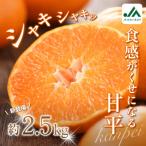 甘平 2.5kg