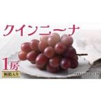 クインニーナ1房 共通返礼品:大子町