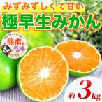 極早生みかん 2S~2L 約3kg