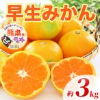 早生みかん 2S~2L 約3kg