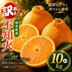 ご 不知火 約10kg