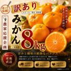 温州 みかん 約 8kg
