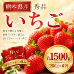 玉名産 いちご ゆうべに or 恋みのり 約1500g