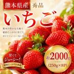 玉名産 いちご ゆうべに or 恋みのり 約2000g