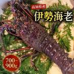 fu.... налог . мыс город Исэ город море .700g~900g(1~3 шт )