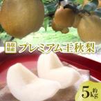 プレミアム王秋梨 5kg