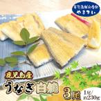鹿児島産うなぎ白焼 3尾