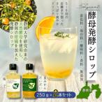 大学研究の天然酵母使用 新感覚発酵シロップ