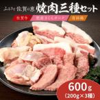 佐賀の恵み 3種焼肉セット 佐賀牛 有田鶏