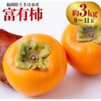 柿 富有柿 9玉