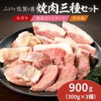 佐賀の恵み 3種焼肉セット 佐賀牛 有田鶏