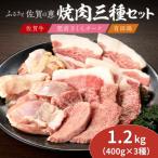 佐賀の恵み 3種焼肉セット 佐賀牛 有田鶏