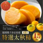 特選太秋柿 3玉