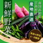 朝どれ 野菜の詰合せ で採れた新鮮な野菜6~8種類をお届けし…