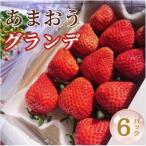 あまおう6パックセット 約250-270g×6パック