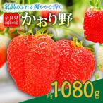 いちご かおり野 約1080g