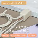 USB充電器 PD67W アーモンドミルク