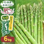 2027年 訳あり 新見ファームの有機アスパラ 6kg