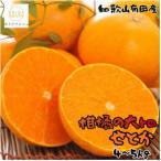 和歌山有田みかん約4kg 2Lサイズ ★2026年11月中旬頃