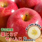 ふるさと納税 黒石市 11-12月蜜入り時期に発送! 平均糖度13度以上 葉とらずサンふじ 約5kg 訳あり 青森 りんご