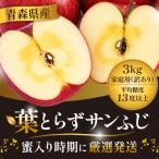 平均糖度13度以上 葉とらずサンふじ 約3kg