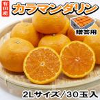 有田産カラマンダリン 2Lサイズ30玉