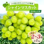 信州 シャインマスカット1kg 2~3房入り