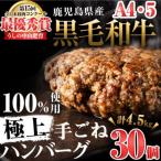 極上手ごねハンバーグ 計4.5kg