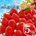 ふるさと納税 君津市 渡邉いちご園 【訳あり】完熟・急速冷凍いちご 5kg