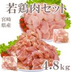 産若鶏肉総量約4.8kgセット