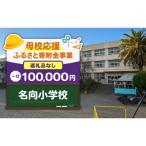 名向小学校 100,000円