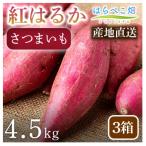 さつまいも 紅はるか 4.5kg