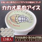 カカオ果肉入りアイス 12個入
