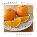 セミノール 約3kg