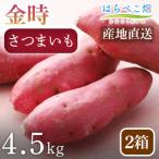 さつまいも金時 4.5kg
