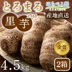 里芋 とろまろ 土付き 4.5kg2箱