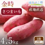 さつまいも 金時 4.5kg