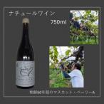 マスカット ベーリーAのナチュラルワインVignoble
