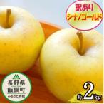 訳あり りんご シナノゴールド 約2kg
