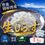 豊後別府湾 生しらす10袋セット 計1kg