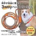 3WAYハンズフリーリード 引きが強めの小型~中型犬