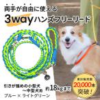 3WAYハンズフリーリード 引き強めの小型~中型犬