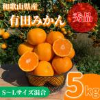 有田みかん 極 プレミアム 5kg