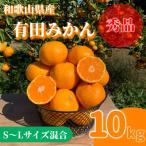 有田みかん 極 プレミアム 10kg