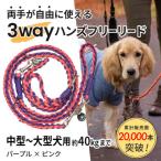 3WAYハンズフリーリード 小型~中型犬用