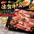 佐賀牛 サーロインステーキ 750g
