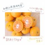 西南のひかり 約5kg