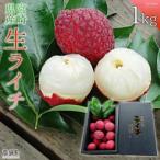 宮崎県産 国産 生ライチ 1kg