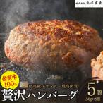 佐賀牛 100%の贅沢ハンバーグ 150g×5個